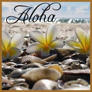 11124401_848172081939414_488267613_n